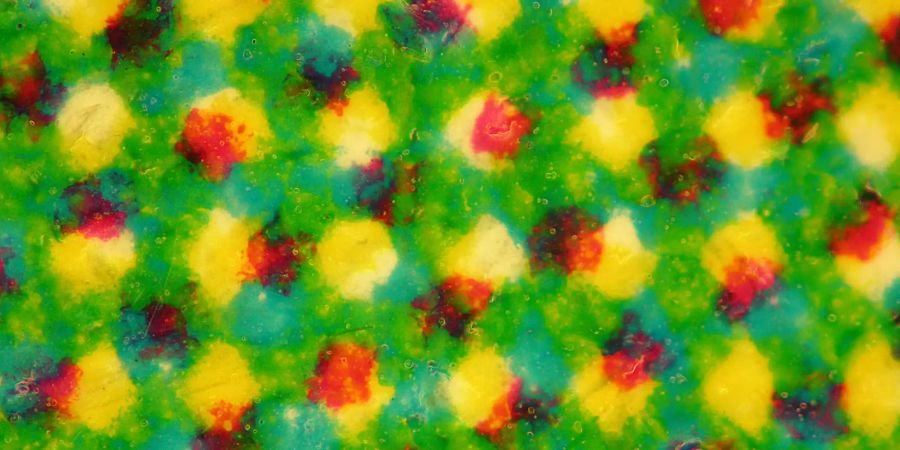 Keine Halluzination: So sieht LSD unter dem Mikroskop aus. Bild: MartinMicroscope.com