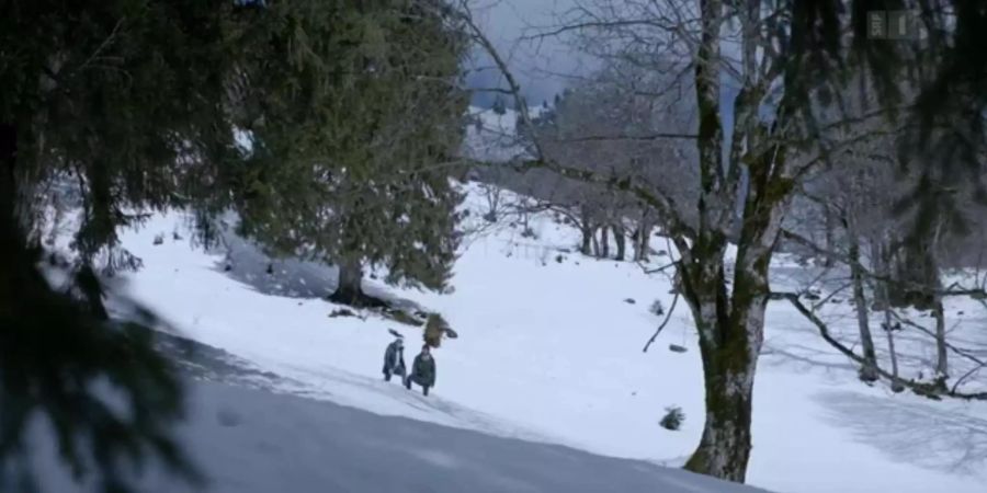 Wenige Sekunden später: Die Sonne scheint, auf den Bäumen kein bisschen Schnee.