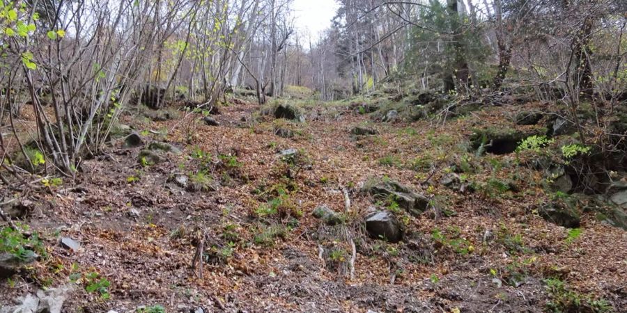 Ein 45-jähriger Berggänger (†) ist am Samstag 200 Meter abgestürzt.