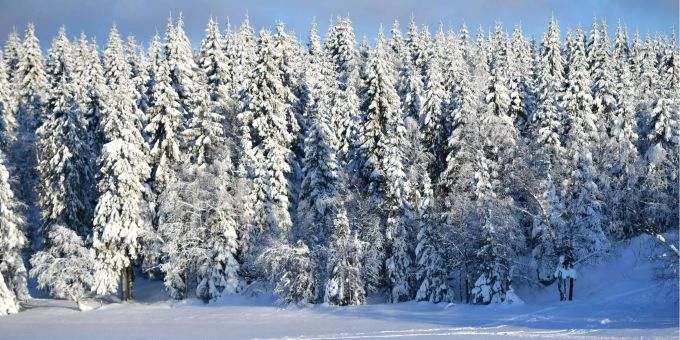 Oslo versinkt im Schnee. Oslo versinkt im Schnee.