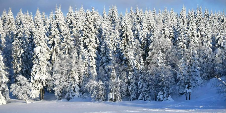 Oslo versinkt im Schnee.