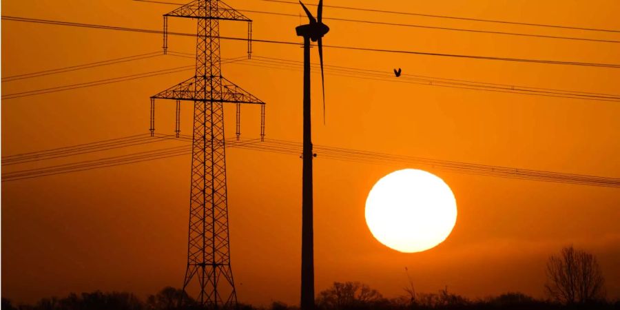 Ein Vogel fliegt bei Sehnde in der Region Hannover neben einer Hochspannungsleitung und einem Windrad vor der aufgehenden Sonne.