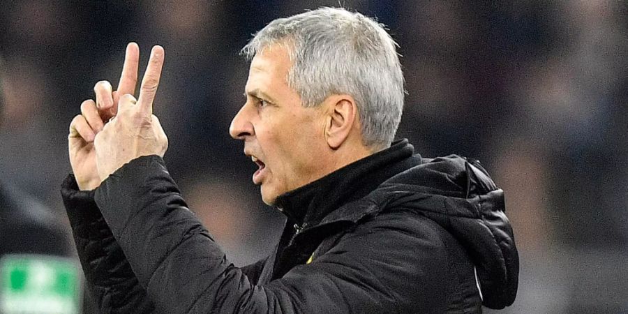 Lucien Favre beim Derby Borussia Dortmund gegen Schalke 04.