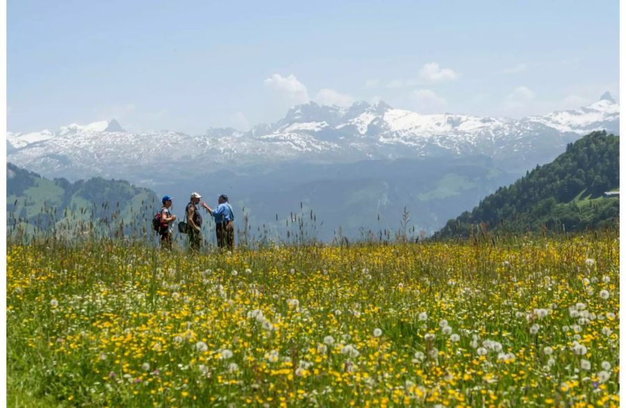 Drei Personen bewundern das Bergpanorama im Stoos-Gebiet.
