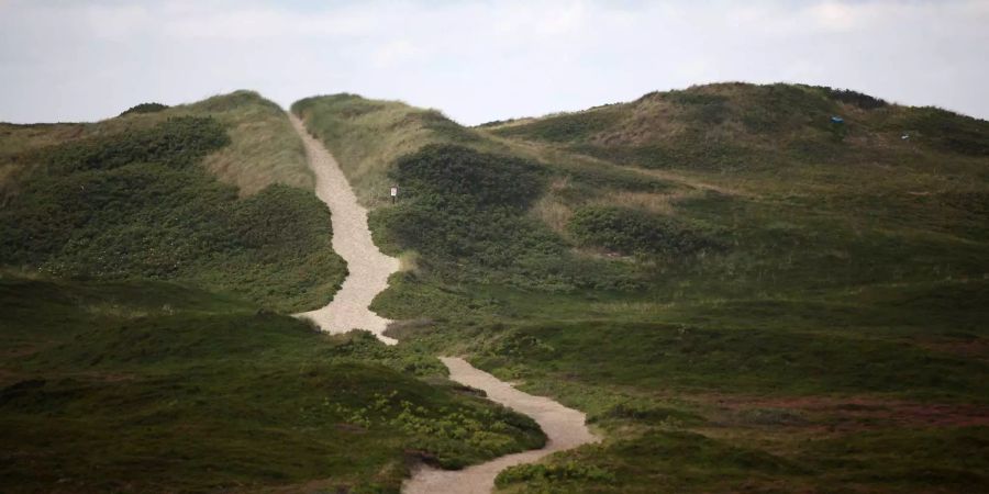Ein menschenleerer Fussweg schlängelt sich durch das Naturschutzgebiet «Rantumer Dünen» auf der Nordseeinsel Sylt.