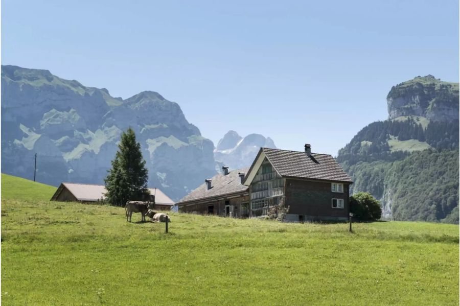 Alphütte umgben von Wiesen und Berge im Hintergrund - Keystone
