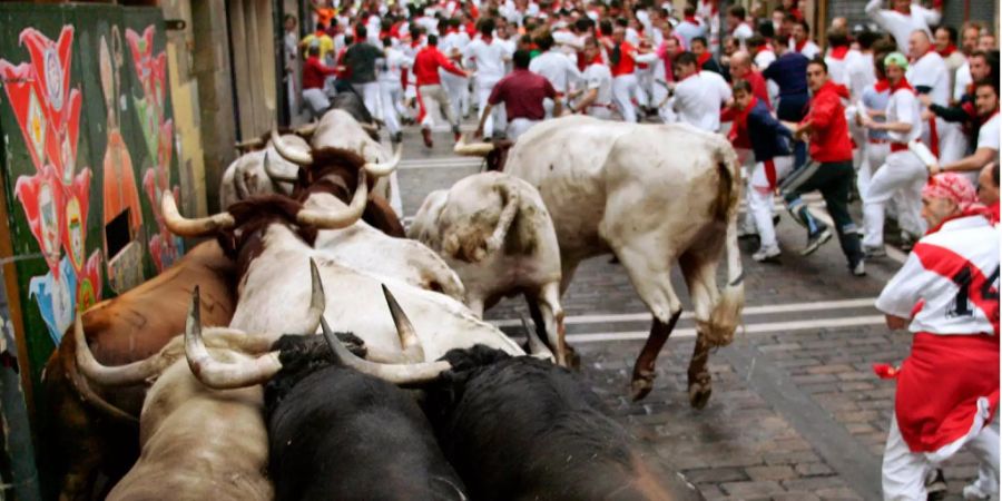 Die alljährliche Stierhatz: Tiere werden durch die Gassen gehetzt.