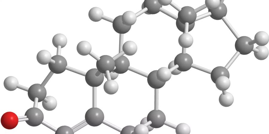 Zu Beginn wird vor allem Testosteron ausgeschüttet und während des Prozesses auf einem hohen Niveau gehalten. Dann verschwindet das Testosteron und Melatonin und Serotonin übernehmen – die Hormone, die uns entspannen.