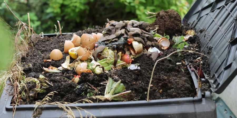 Lebensmittel und Abfälle können als Basis für den DIY-Kompost dienen.