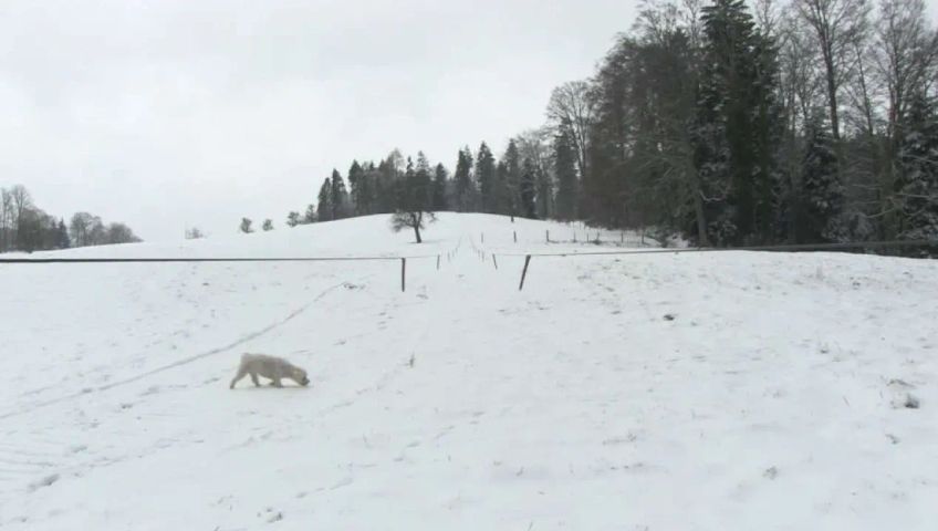 ag-skilift-gm