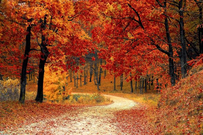 Am 23. September ist astronomischer Herbstanfang. Herbst