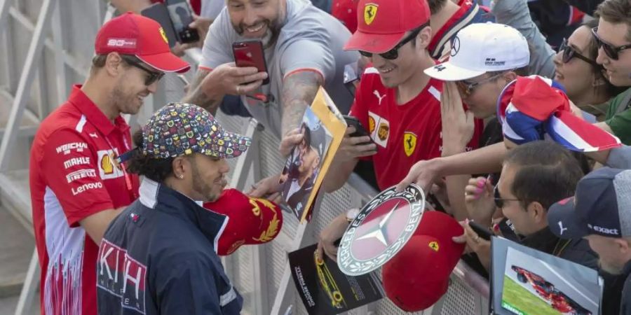 Volksnah: Sebastian Vettel (l) und Lewis Hamilton (2.v.l) erfüllen die Autogrammwünsche der kanadischen Radsportfans. Foto: Ryan Remiorz/The Canadian Press/AP