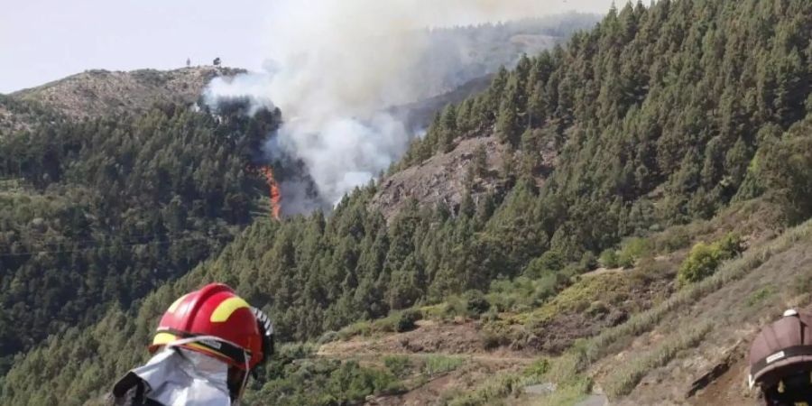 Der Waldbrand in den Bergen der spanischen Urlaubsinsel Gran Canaria wütet weiter - allerdings mit abgeschwächter Kraft. Foto: Europa Press/dpa