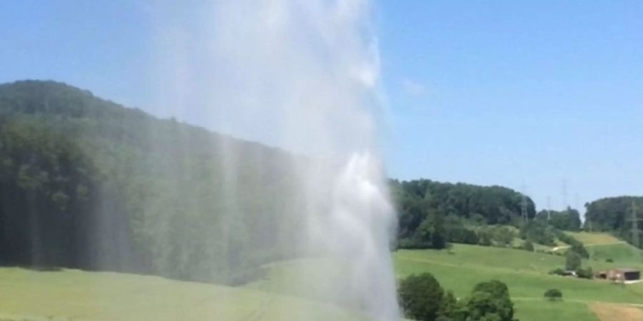 Für den Austritt von Solewasser auf einem stillgelegten Bohrloch in Muttenz BL trifft die Schweizer Salinen AG keine Schuld. Das Strafverfahren wurde eingestellt. (Archiv)