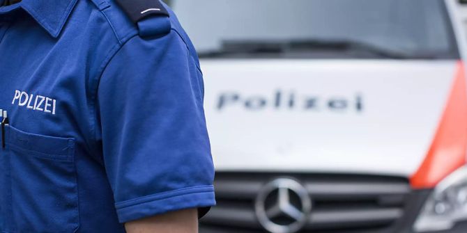 luzerner polizei
