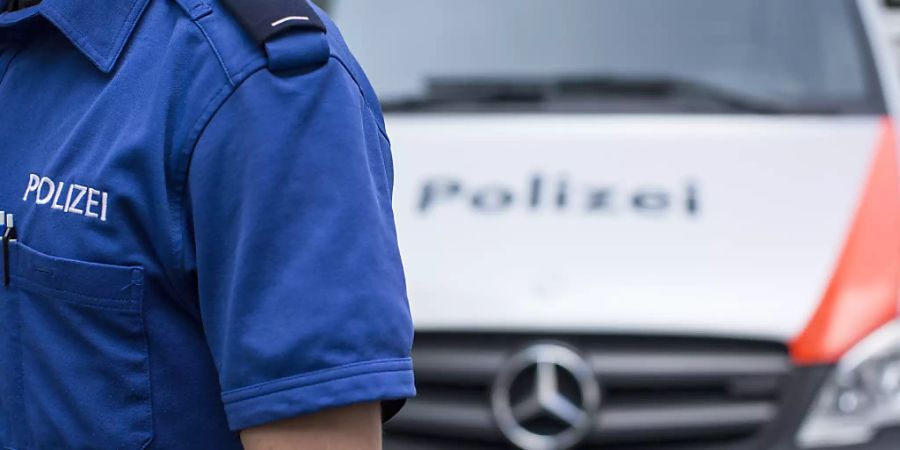 luzerner polizei