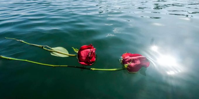 Zwei rote Rosen schwimmen auf dem Wasser im Hafen von Santa Barbara in Gedenken an die Opfer bei einem Bootsfeuer in Kalifornien. Bootsbrand in Kalifornien