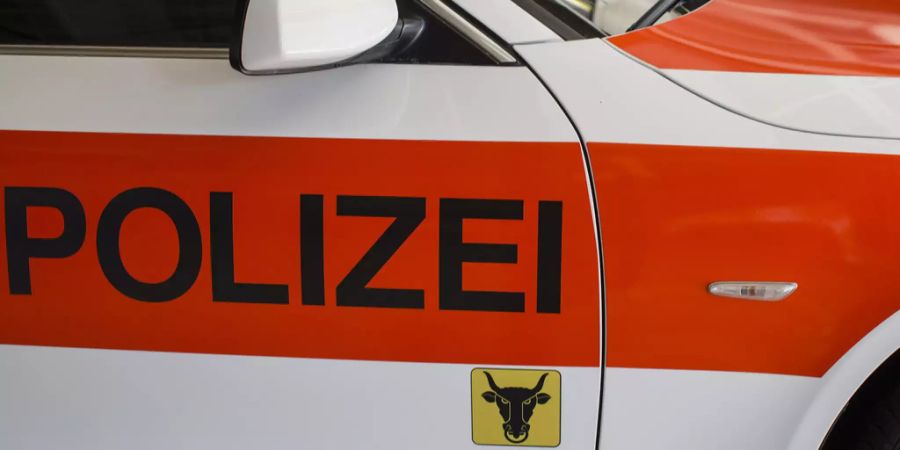 Am 6. und 7. September 2019 wird die «Erfolgsgeschichte SVZ» gefeiert.