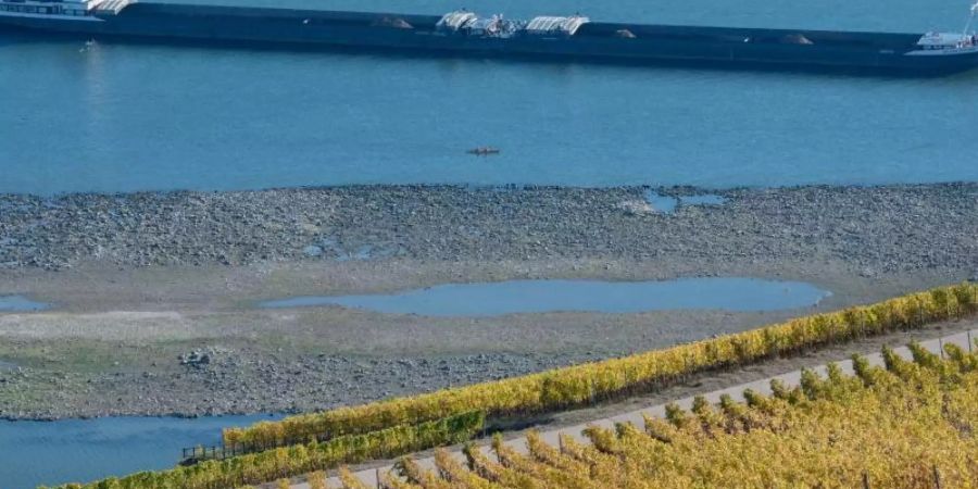 Ein Frachtschiff fährt dicht an freiliegenden Sandbänken und Felsen vorbei. Monatelange Trockenheit und ausbleibende Niederschläge hatten den Wasserstand des Rheins im vergangenen Jahr auf ein Minimum schrumpfen lassen. Foto: Boris Roessler/Archiv