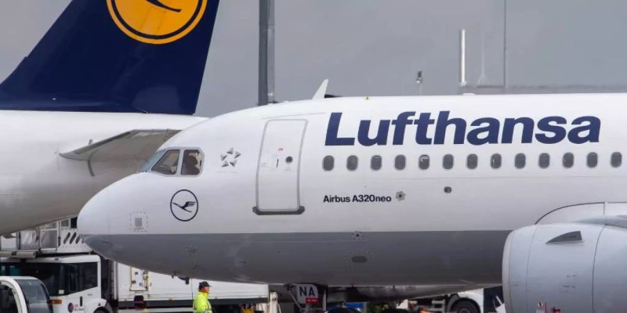 Lufthansa hält nach eigenen Angaben im Sommer 600 zusätzliche Leute und 37 Reserveflugzeuge bereit - 15 mehr als im vergangenen Jahr. Foto: Silas Stein