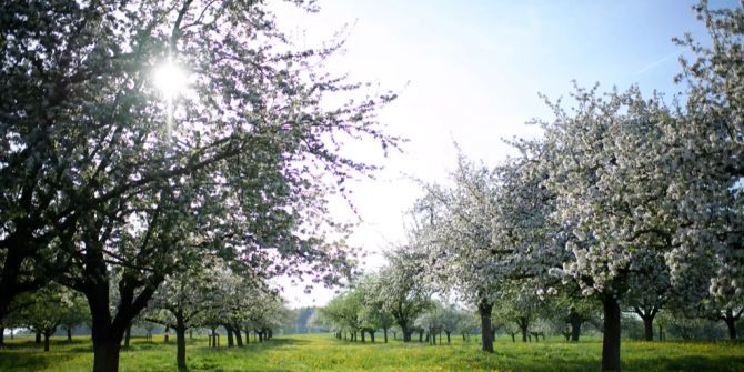 Meteorologischer Frühlingsanfang