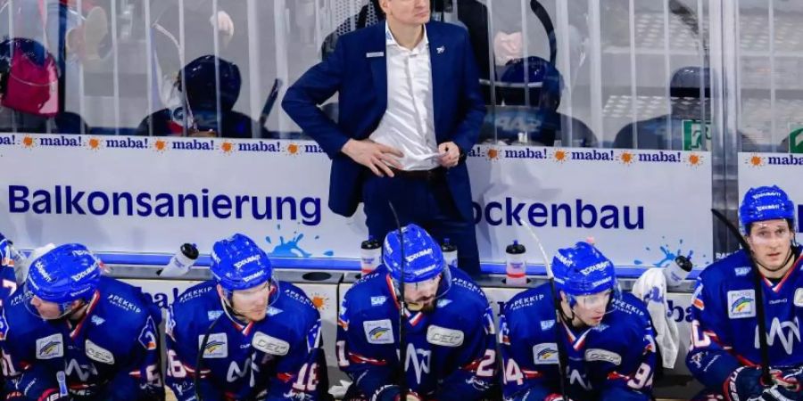 Mannheims Trainer Pavel Gross muss mit seinem Team eine Niederlage in Wolfsburg einstecken. Foto: Uwe Anspach