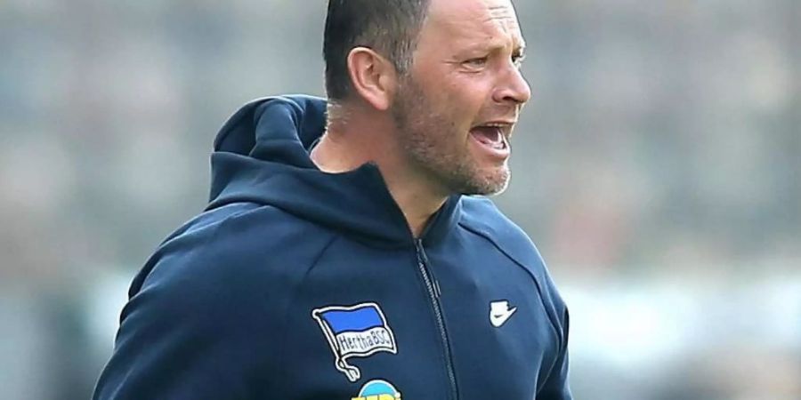 Trainer Pal Dardai stellt seine Person zurück: «Es geht um Hertha BSC und nicht um Pal Dardai.» Foto: Andreas Gora/dpa