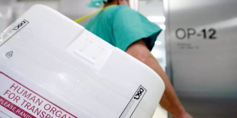 Ein Styropor-Behälter zum Transport von zur Transplantation vorgesehenen Organen vor einem Eingang eines OP-Saales. Foto: Soeren Stache