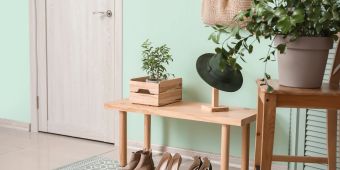 Flur mit Regalen, Pflanzen und Schuhen