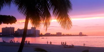 puerto rico, strand, palmen