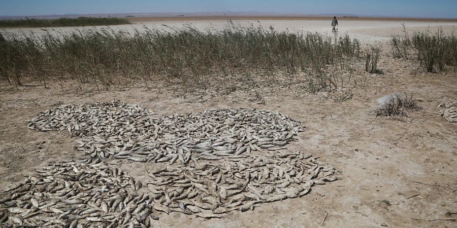 Trockenheit im Iran