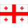 Georgia U21 Logo