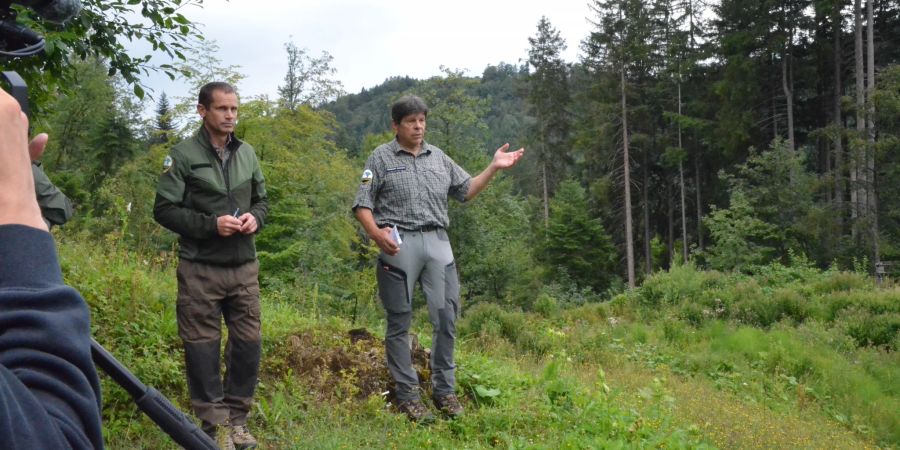 Männer begutachten den Wald
