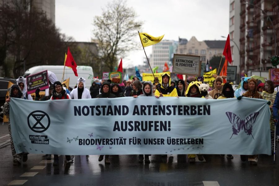 Ihr Gast, Manon Gerhardt, gehört zur Aktivisten-Gruppe «Extinction Rebellion». (Symbolbild)