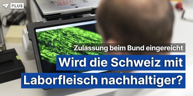 Migros-Projekt - Wird die Schweiz mit Laborfleisch nachhaltiger? Migros-Projekt - Wird die Schweiz mit Laborfleisch nachhaltiger?