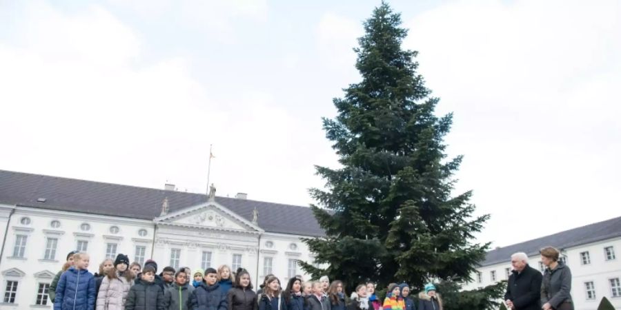 Weihnachtsbaum vor Schloss Bellevue