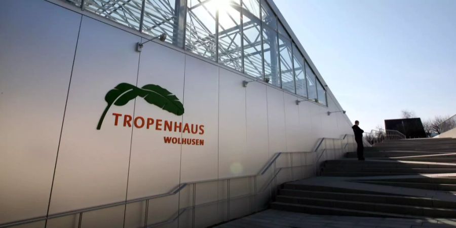 Tropenhaus Wolhusen