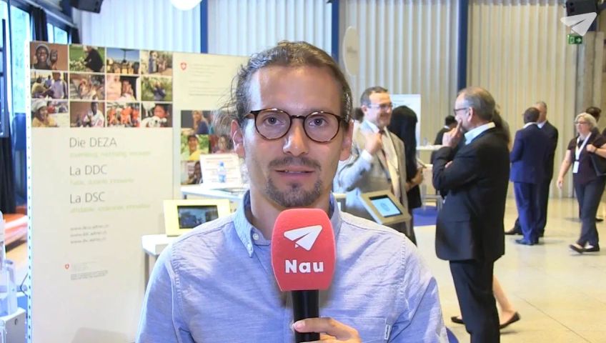 zh-schneideramman-bildung