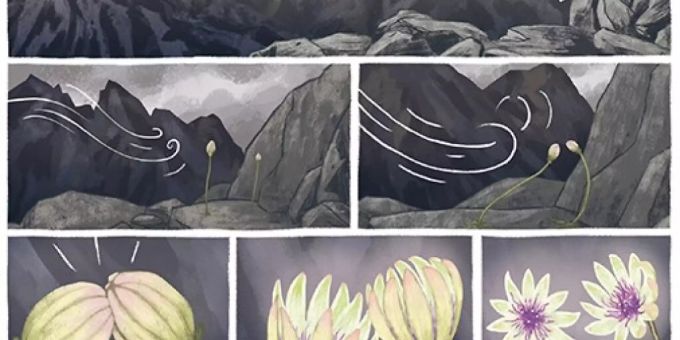 Ein Bildband der Genfer Künstlerin Léonie Bischoff über das Leben der amerikanischen Schriftstellerin Anaïs Nin wurde als bestes Schweizer Comic-Album 2021 ausgezeichnet. Ein Bildband der Genfer Künstlerin Léonie Bischoff über das Leben der amerikanischen Schriftstellerin Anaïs Nin wurde als bestes Schweizer Comic-Album 2021 ausgezeichnet.