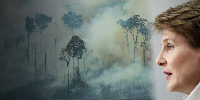 Sommaruga «entsetzt» - Die 5 wichtigsten Antworten zum Amazonas-Brand