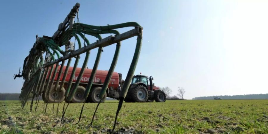 Landwirt verteilt Gülle auf Feld