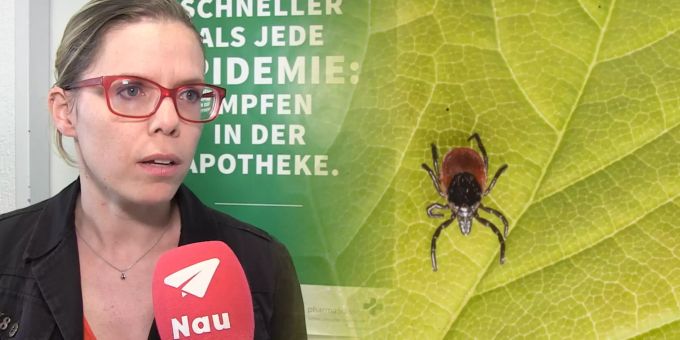 Panik vor Zecken-Biss - Impfung ist in Apotheken gefragter denn je