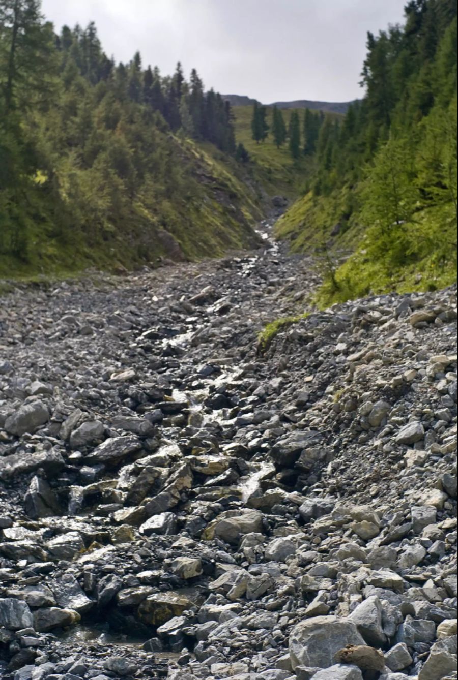 Im Val Trupchun GR gibt es die Natur in ihren Ursprüngen zu sehen.