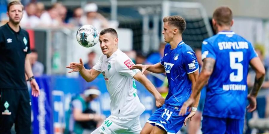 Musste mit Werder auch in Hoffenheim eine Pleite hinnehmen: Maximilian Eggestein (l). Foto: Uwe Anspach