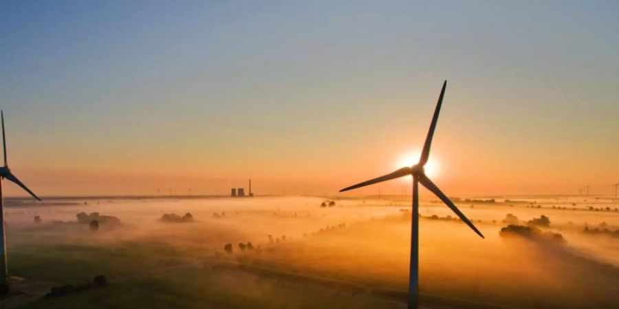 Der Ausbau von Windrädern an Land stockt enorm. Foto: Julian Stratenschulte