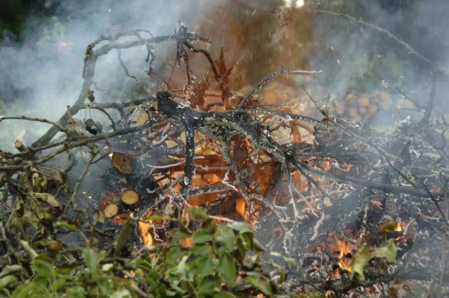 feuerbrand