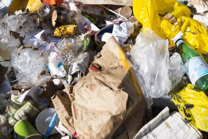 «Clean-up-day»