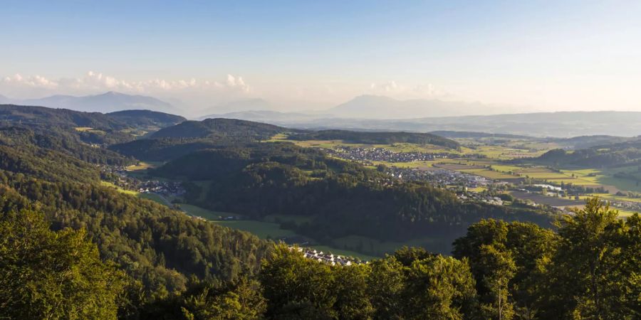 Landschaft in Affoltern am Albis.