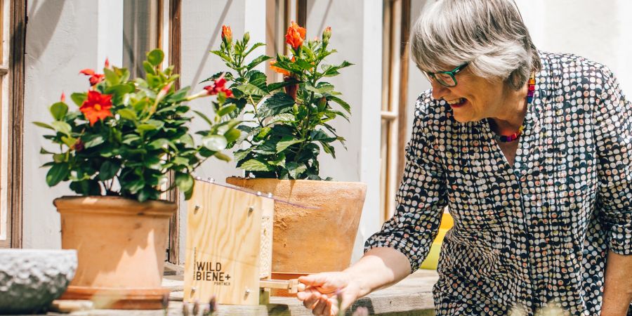 Frau  vor Wildbienen-Box