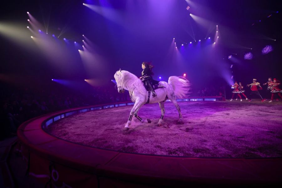 Circus Knie.